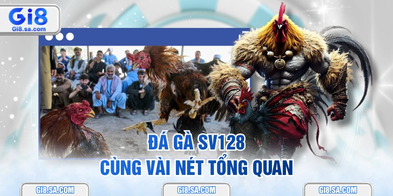 Đá gà SV128 cùng vài nét tổng quan
