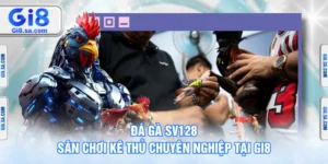 Đá Gà SV128 - Sân Chơi Kê Thủ Chuyên Nghiệp Tại GI8