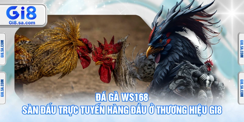 Đá Gà WS168 – Sàn Đấu Trực Tuyến Hàng Đầu Ở Thương Hiệu GI8