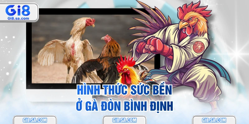 Hình thức sức bền ở gà đòn Bình Định