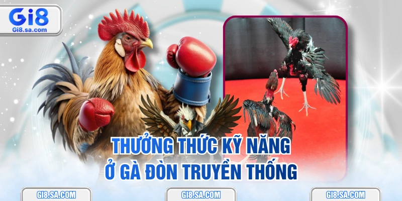 Thưởng thức kỹ năng ở gà đòn truyền thống